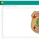 A imagem mostra a interface do novo site dos CACs, do governo: o Sinarm-CAC, da Polícia Federal